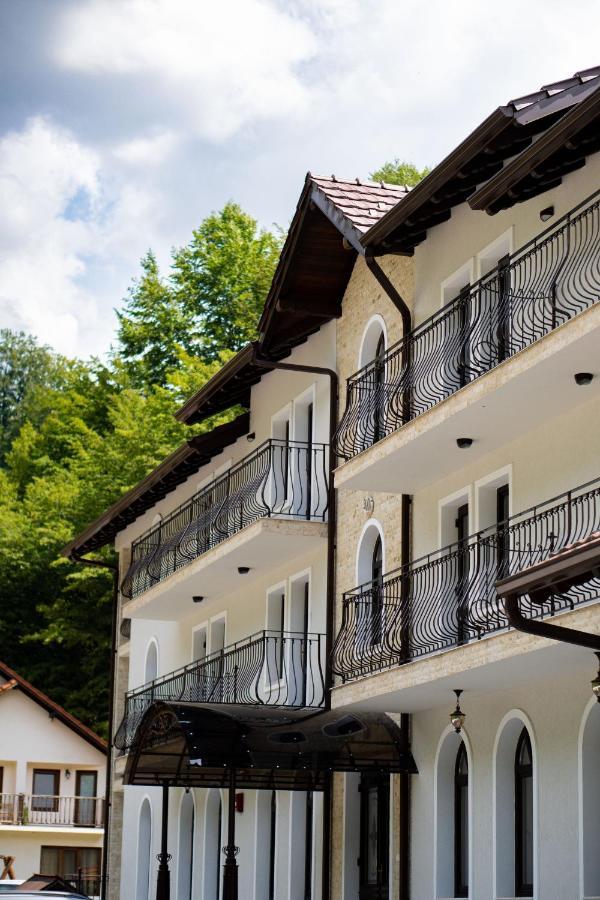 Hotel Perla Dacilor Gradistea de Munte Exterior foto
